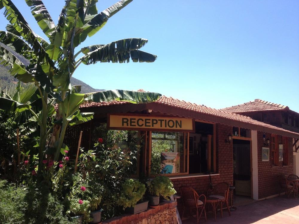 Aygul Hotel Oludeniz Ngoại thất bức ảnh